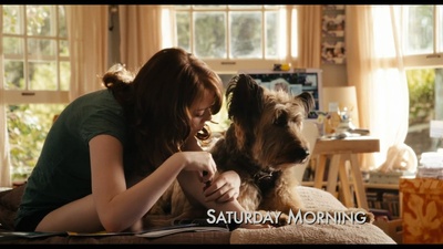 绯闻计划剧照的剧照