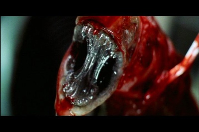 异形4剧照的剧照