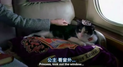 公主日记剧照的剧照