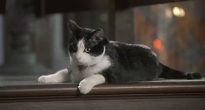 公主日记剧照的剧照