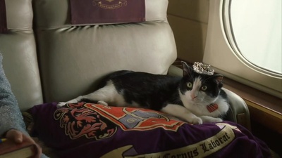 公主日记剧照的剧照