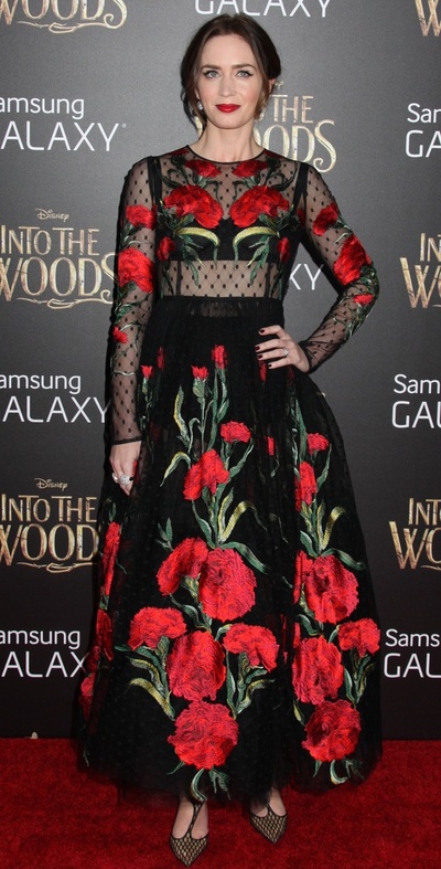 魔法黑森林剧照的剧照