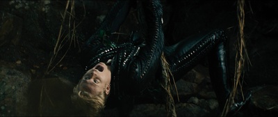 魔法黑森林剧照的剧照