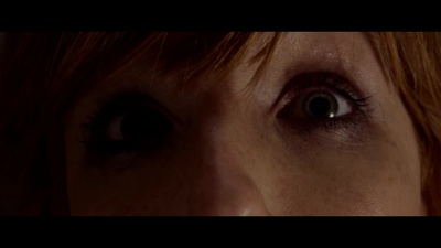 迫降航班剧照的剧照