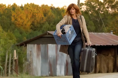 迫降航班剧照的剧照