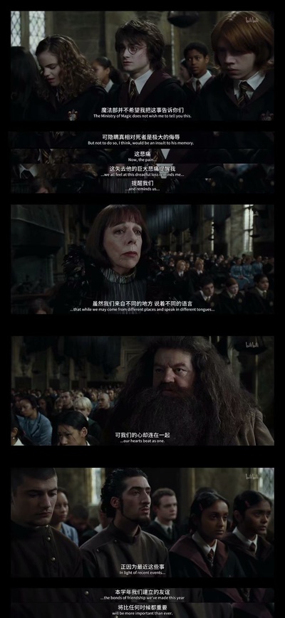 哈利·波特与火焰杯剧照的剧照