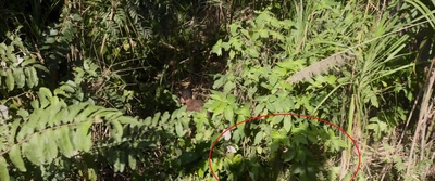 重返地球剧照的剧照