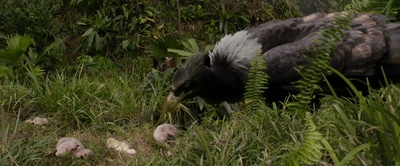 重返地球剧照的剧照