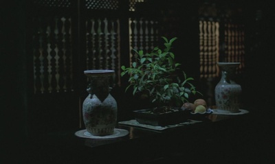 青木瓜之味剧照的剧照