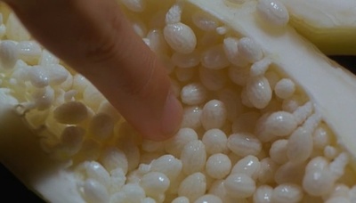 青木瓜之味剧照的剧照