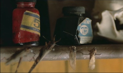 青木瓜之味剧照的剧照