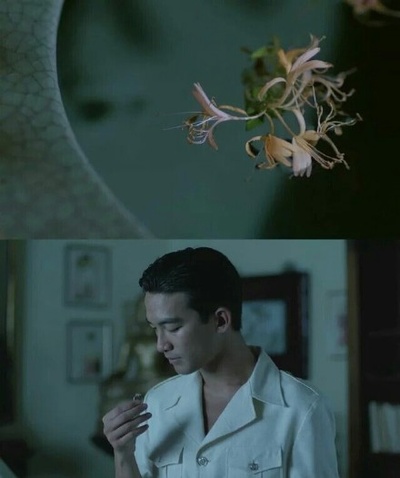 青木瓜之味剧照的剧照