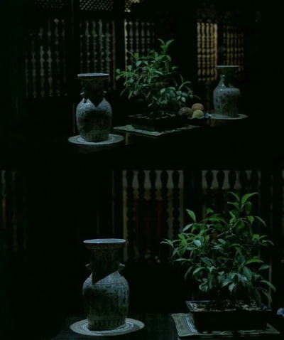 青木瓜之味剧照的剧照