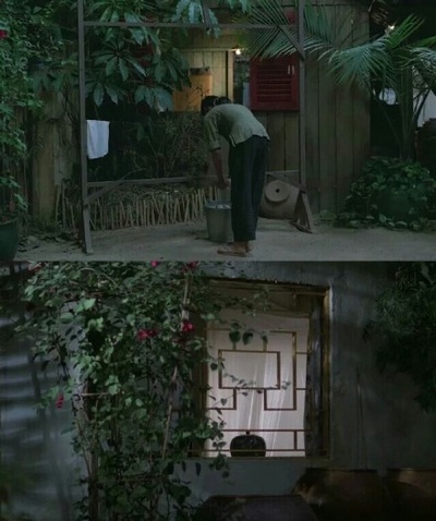 青木瓜之味剧照的剧照