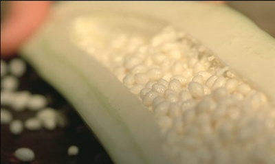 青木瓜之味剧照的剧照