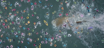 巨齿鲨剧照的剧照