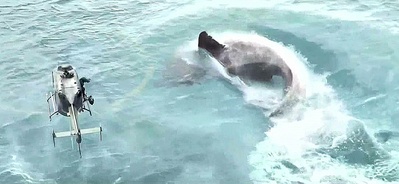 巨齿鲨剧照的剧照