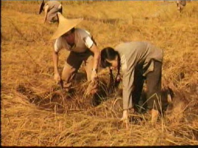 忠义群英剧照的剧照