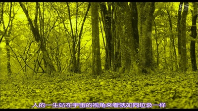 反情色剧照的剧照