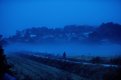 燃烧剧照的剧照
