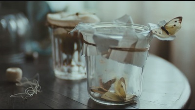 明亮的星剧照的剧照