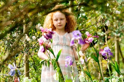 明亮的星剧照的剧照