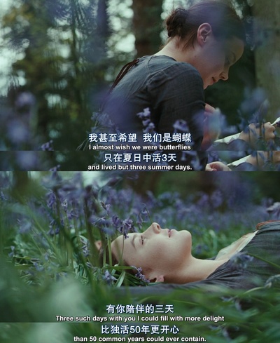 明亮的星剧照的剧照