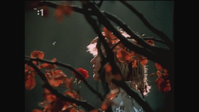 叛逆的白雪公主剧照的剧照