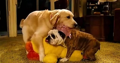 人生遥控器剧照的剧照