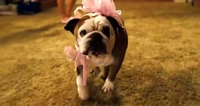 人生遥控器剧照的剧照