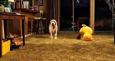 人生遥控器剧照的剧照