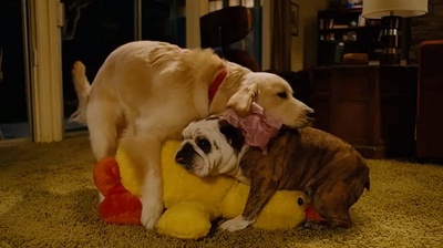 人生遥控器剧照的剧照