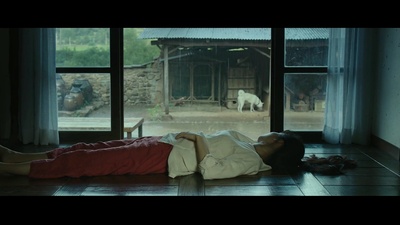 小森林剧照的剧照