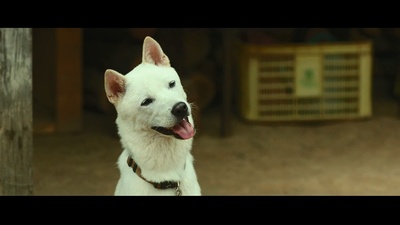 小森林剧照的剧照