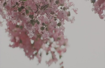 步履不停剧照的剧照