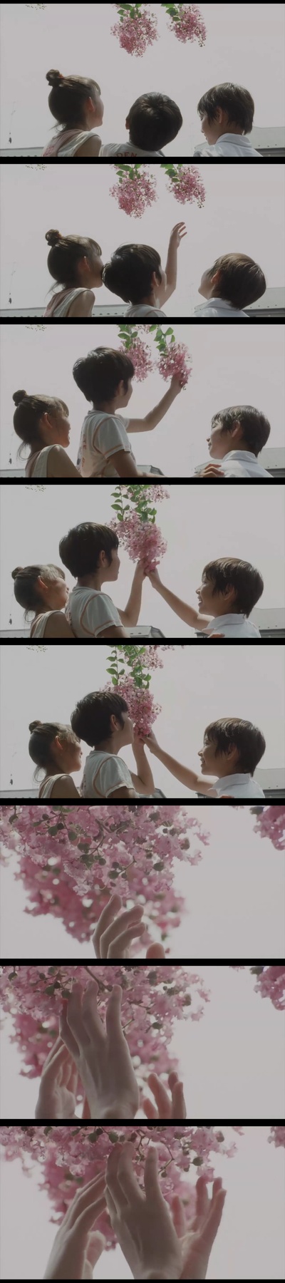 步履不停剧照的剧照