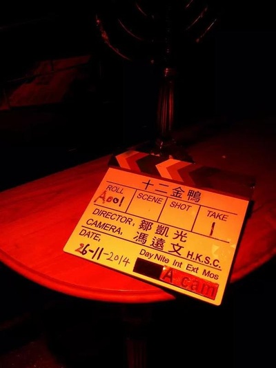 12金鸭剧照的剧照