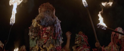 鸟类学家剧照的剧照