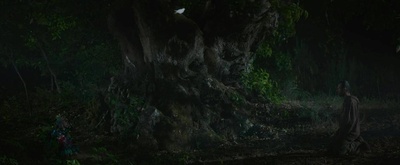 鸟类学家剧照的剧照