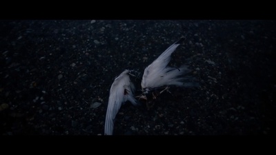 心之石剧照的剧照