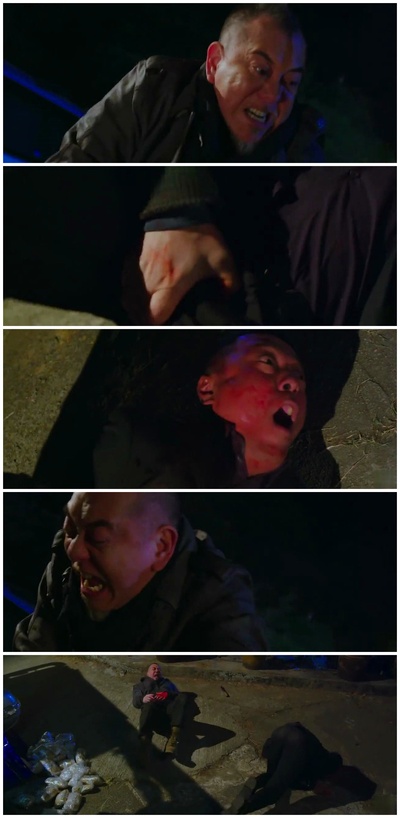 潜龙风云剧照的剧照