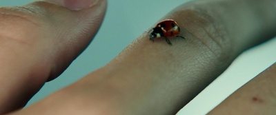 屏住呼吸剧照的剧照