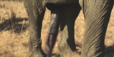 王牌贱谍：格林斯比剧照的剧照