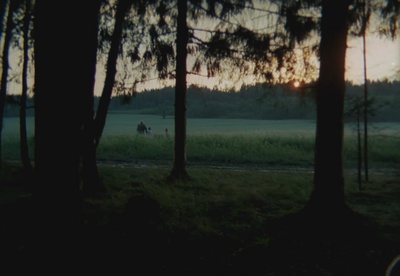 镜子剧照的剧照