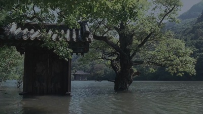 春夏秋冬又一春剧照的剧照