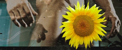 搏击俱乐部剧照的剧照