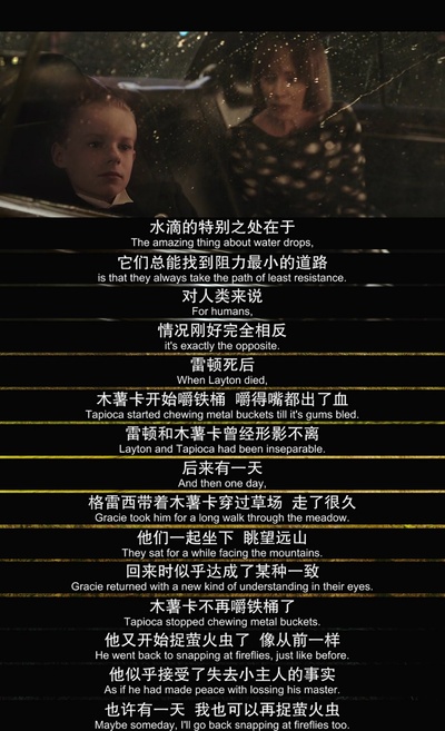 少年斯派维的奇异旅行剧照的剧照