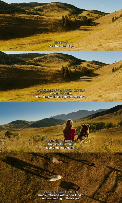 少年斯派维的奇异旅行剧照的剧照