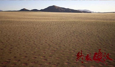 终极硬汉剧照的剧照