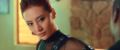 终极硬汉剧照的剧照